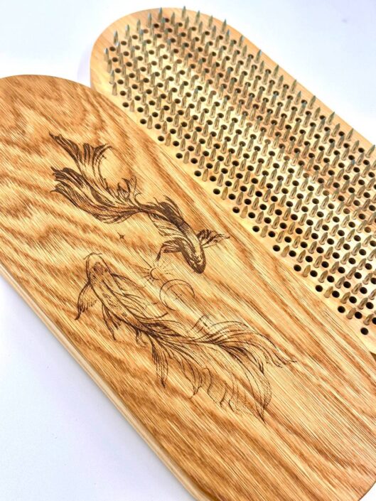 Sadhu brett Matsyayugma foto